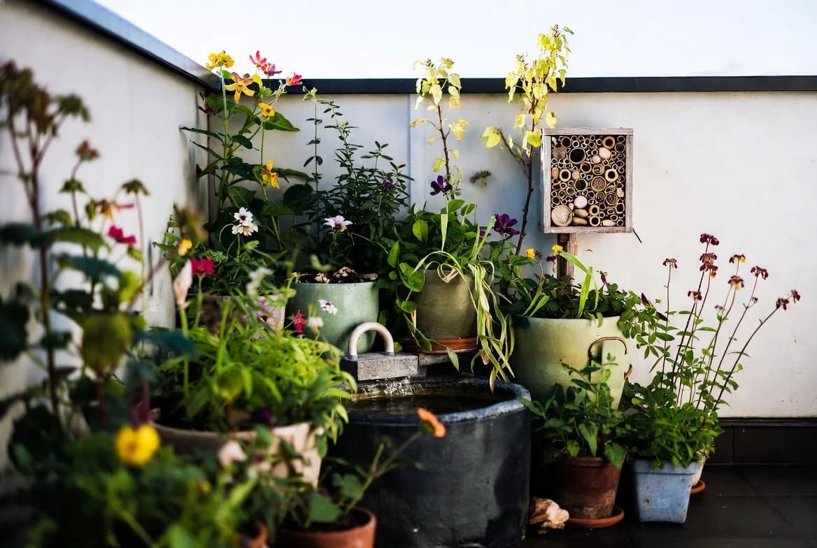 A compact balcony transformed with wildlife-friendly pots, flowers and a water feature