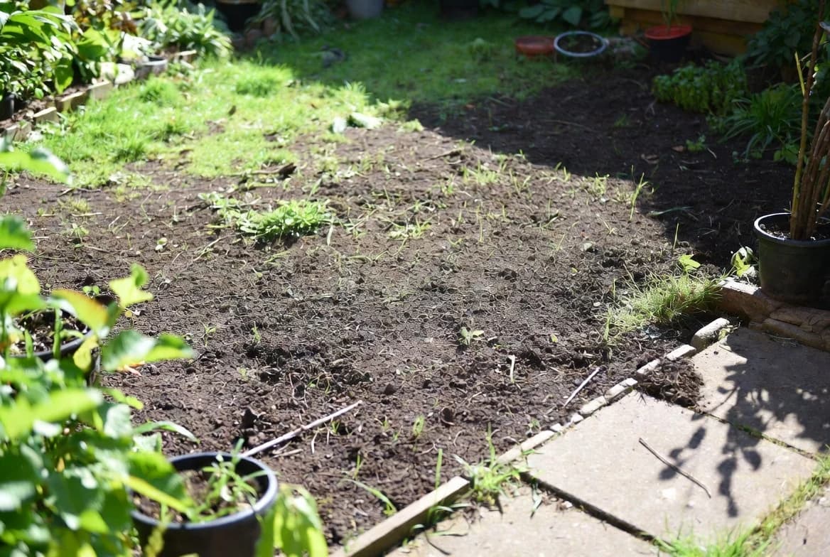 A sunny garden bed prepared for butterfly-friendly planting