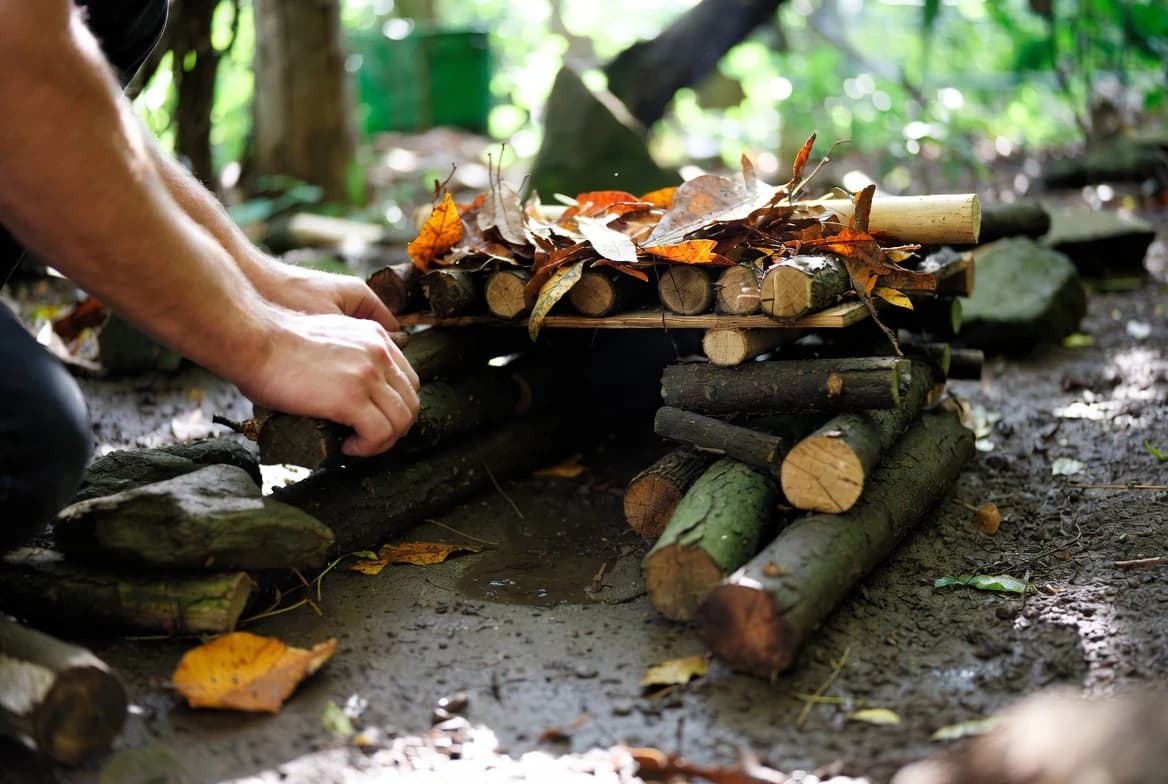 Hands building a low frog refuge from logs and fallen leaves