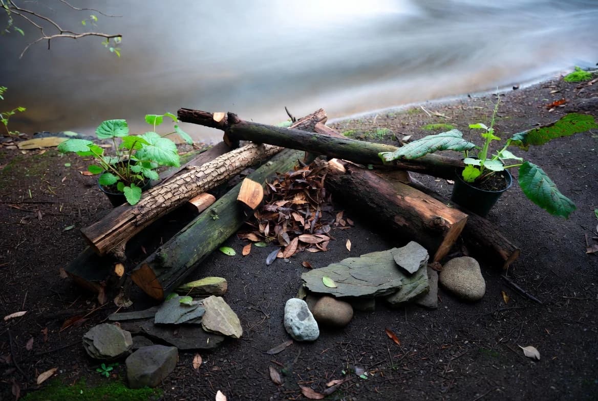 Logs, stones, leaf litter and plants arranged for a frog habitat