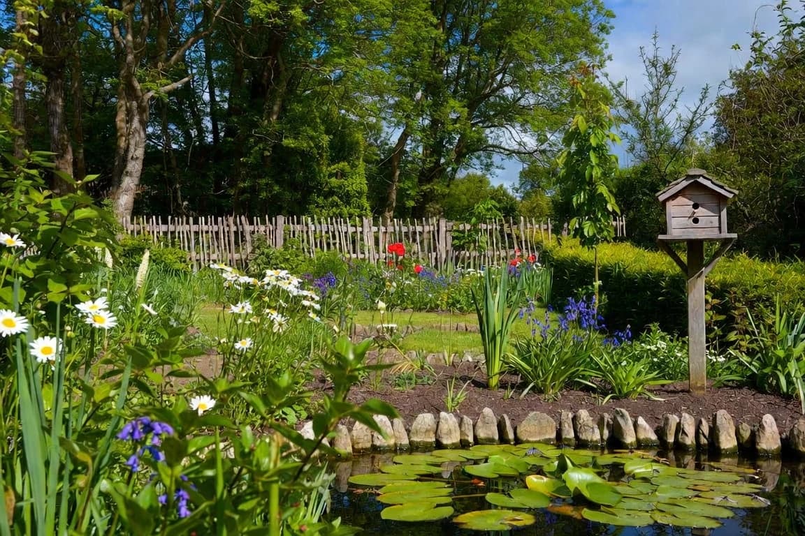 A thriving wildlife garden with a pond, wildflowers and a nesting box