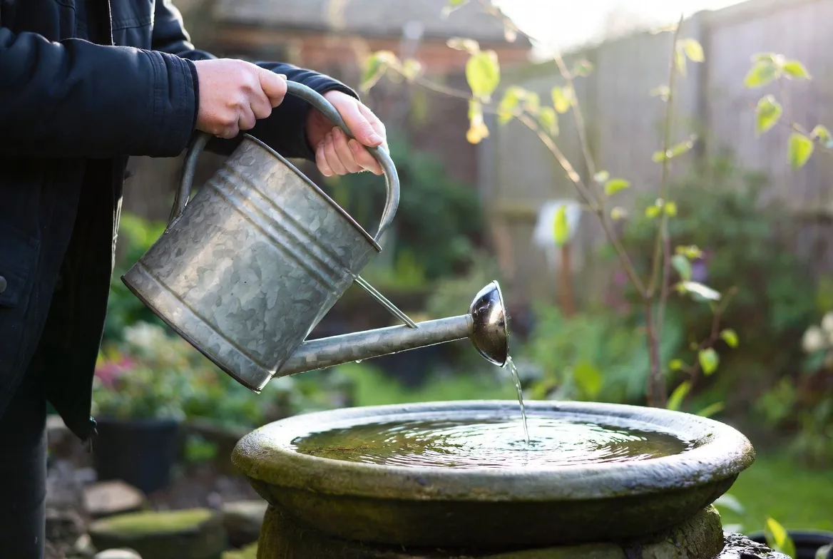A shallow garden water feature being refilled with a watering can