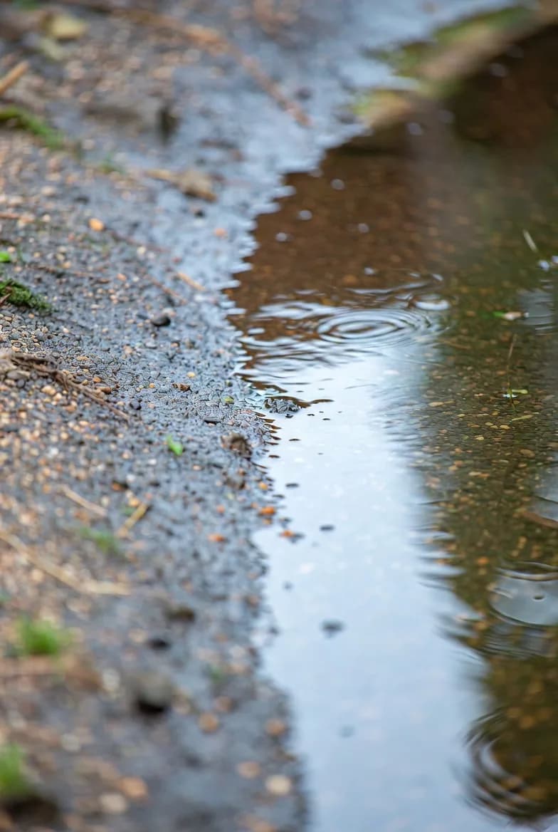 A close view of a gently sloping shallow pond edge with gravel and water