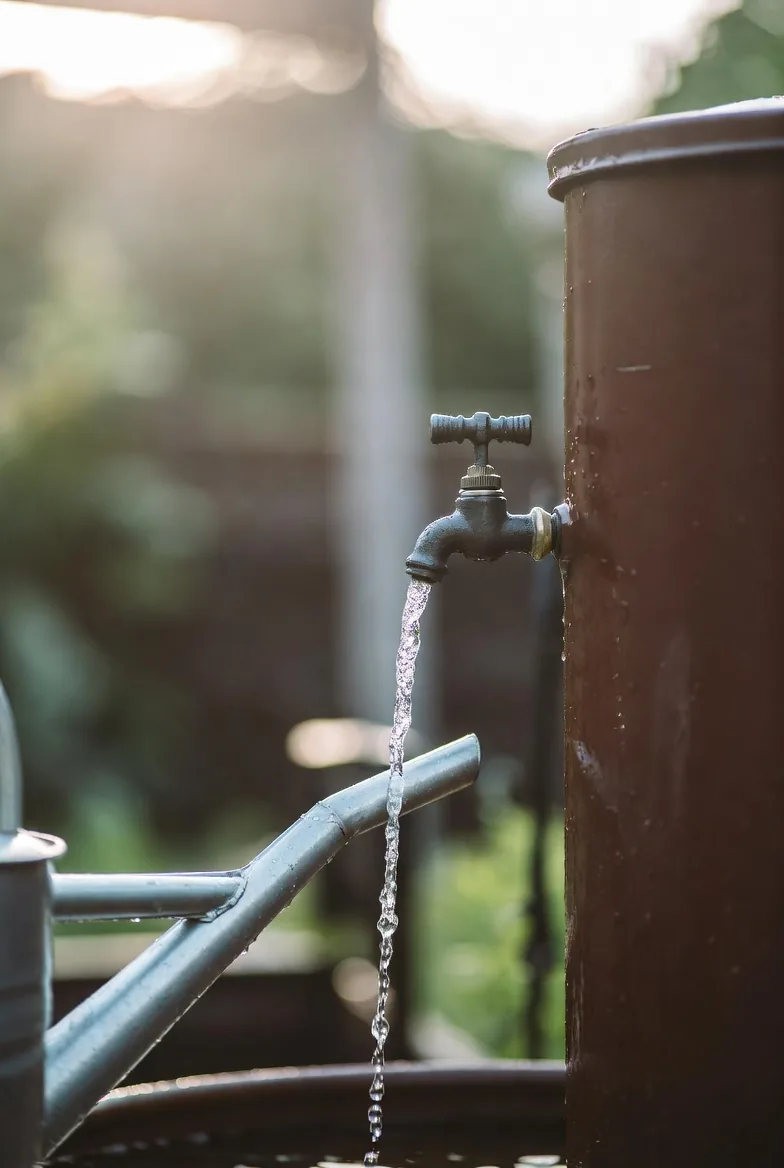 Stored rainwater flowing from a water-butt tap into a watering can