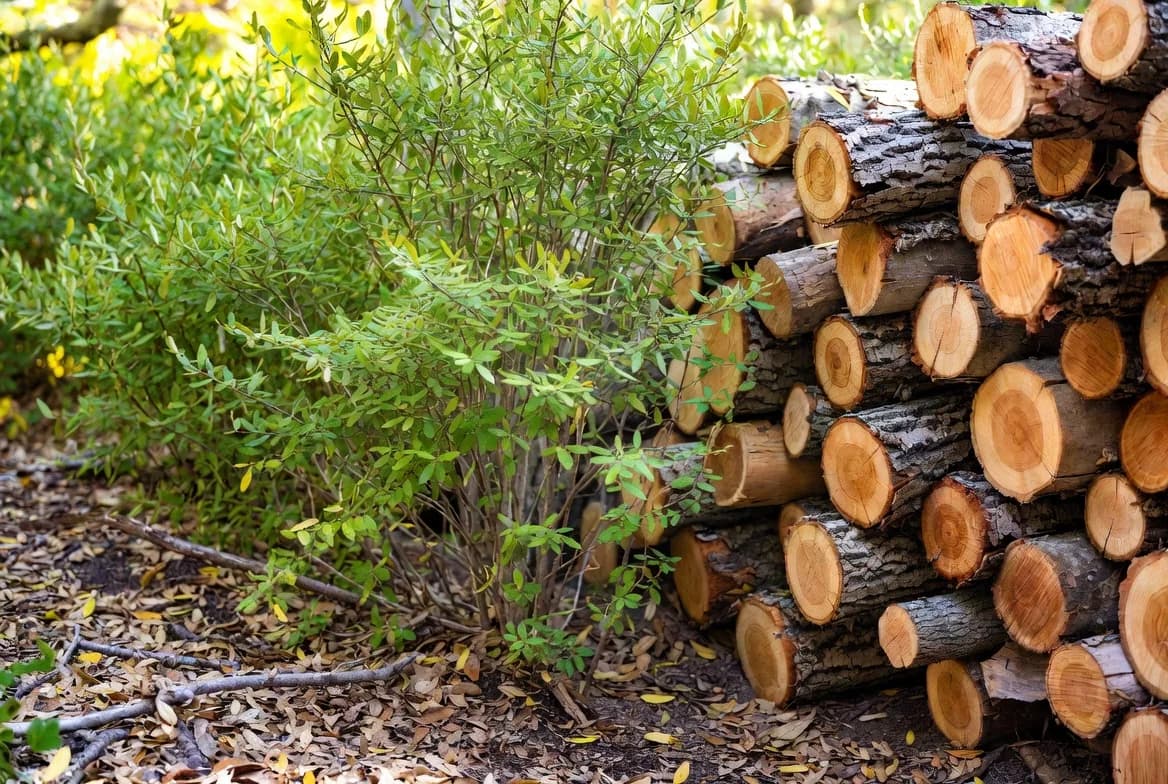 A stacked log edge beside dense planting creating shelter and a connected route