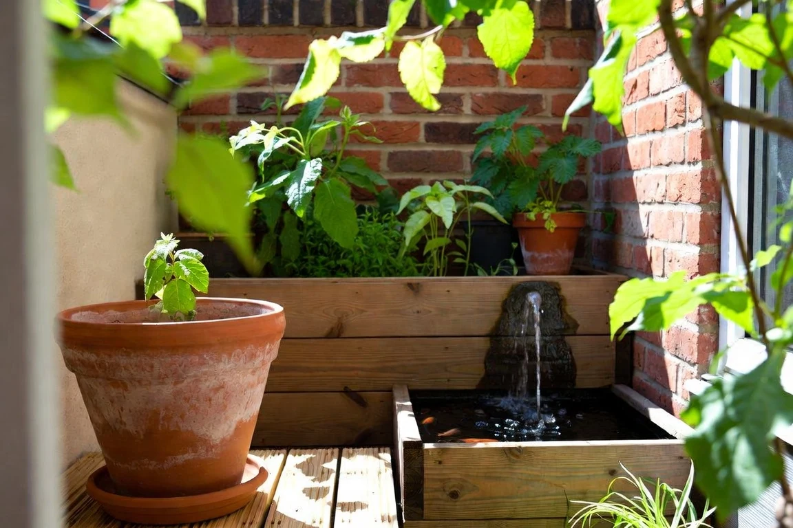 A compact planted courtyard with a small container water feature