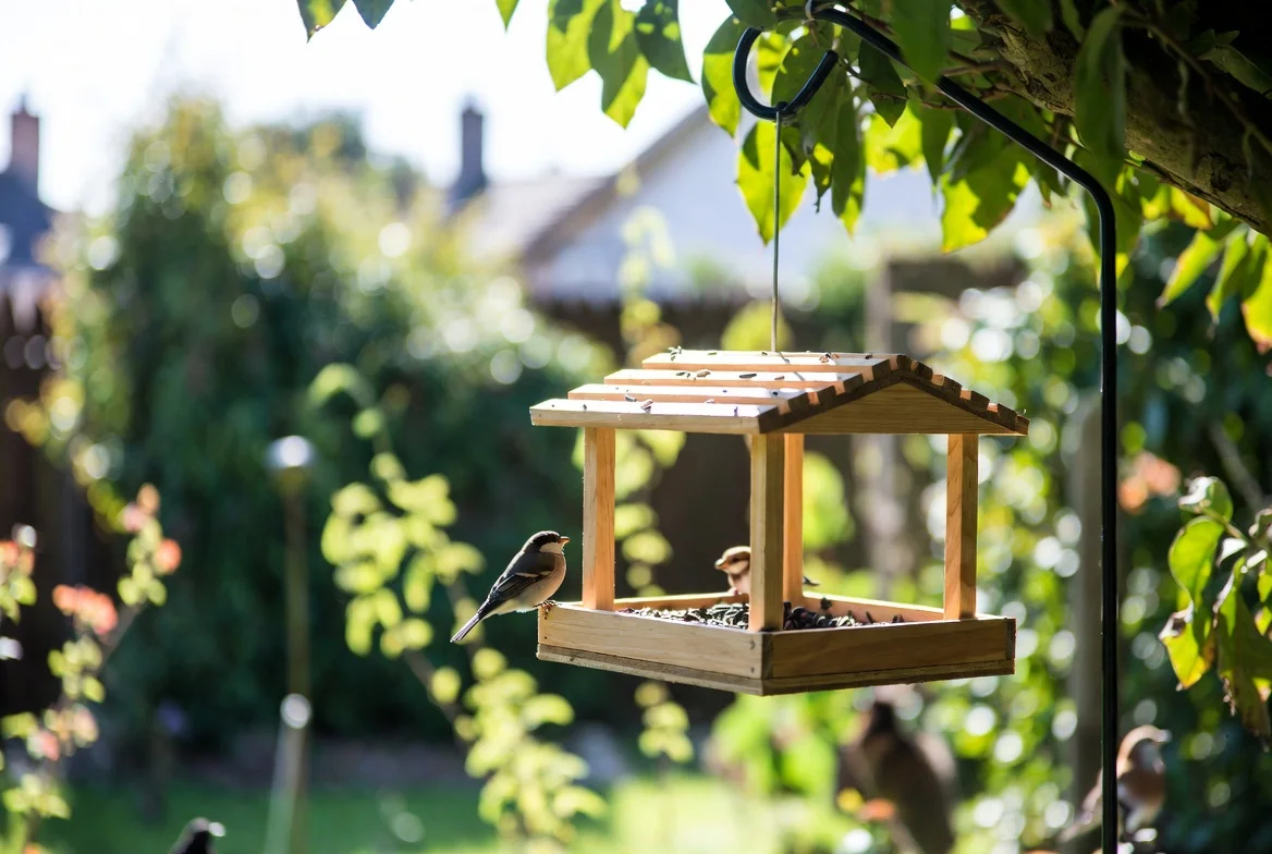 Small birds visiting a hanging feeder in a sunlit garden