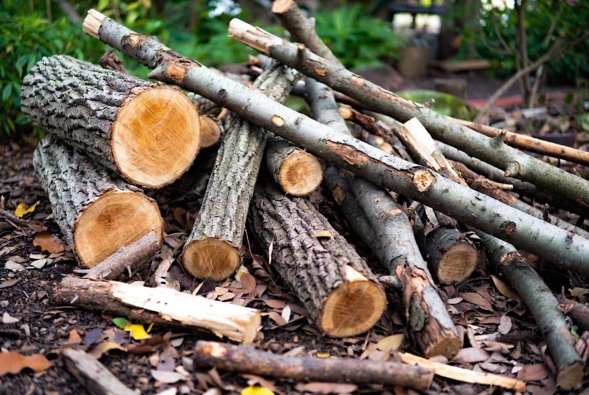Logs, sticks and bark ready to build a habitat pile