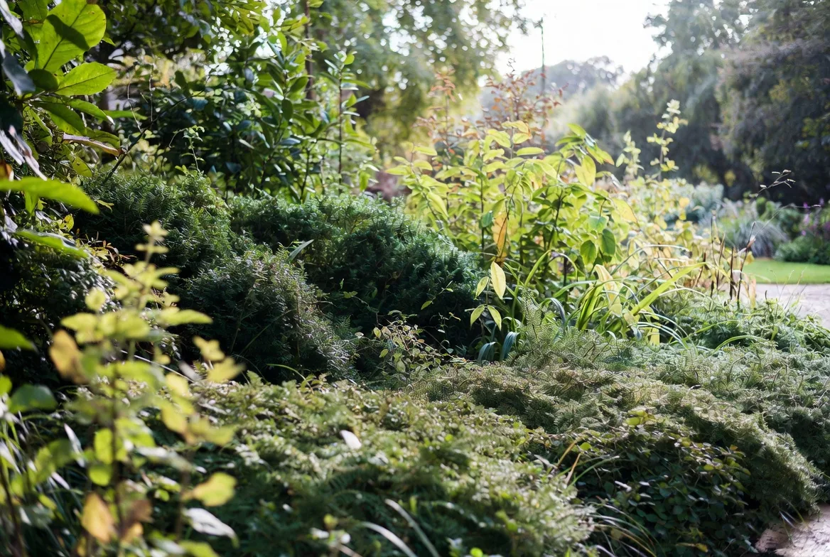 Dense layered planting forming a sheltered route through a garden